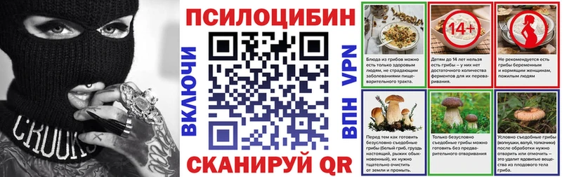 купить закладку  Астрахань  Псилоцибиновые грибы Psilocybe 